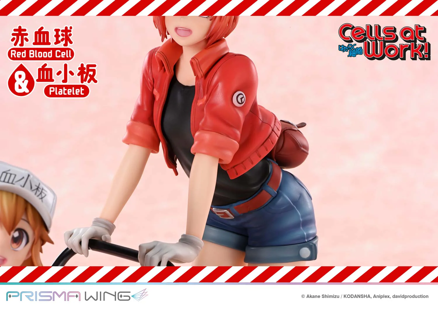 [Pre-order] Cells at work! - Red Blood Cell & Platelet Non Scale Figure Prisma Wing - Image 9